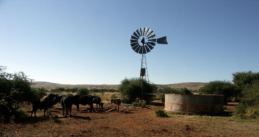 090509_South_Africa 223.jpg